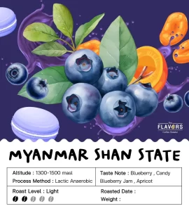 The Flavors Of Shan Blueberry